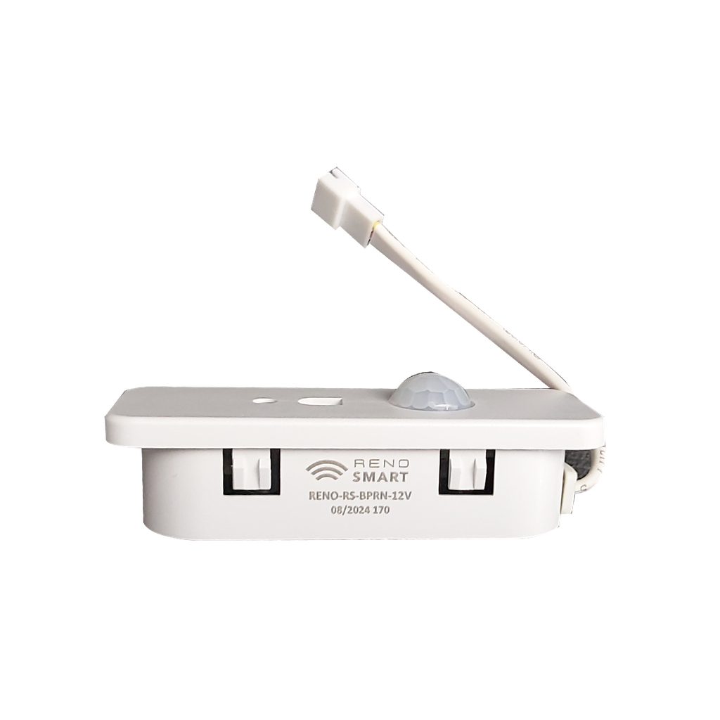 RENO-RS-BPRN-12V