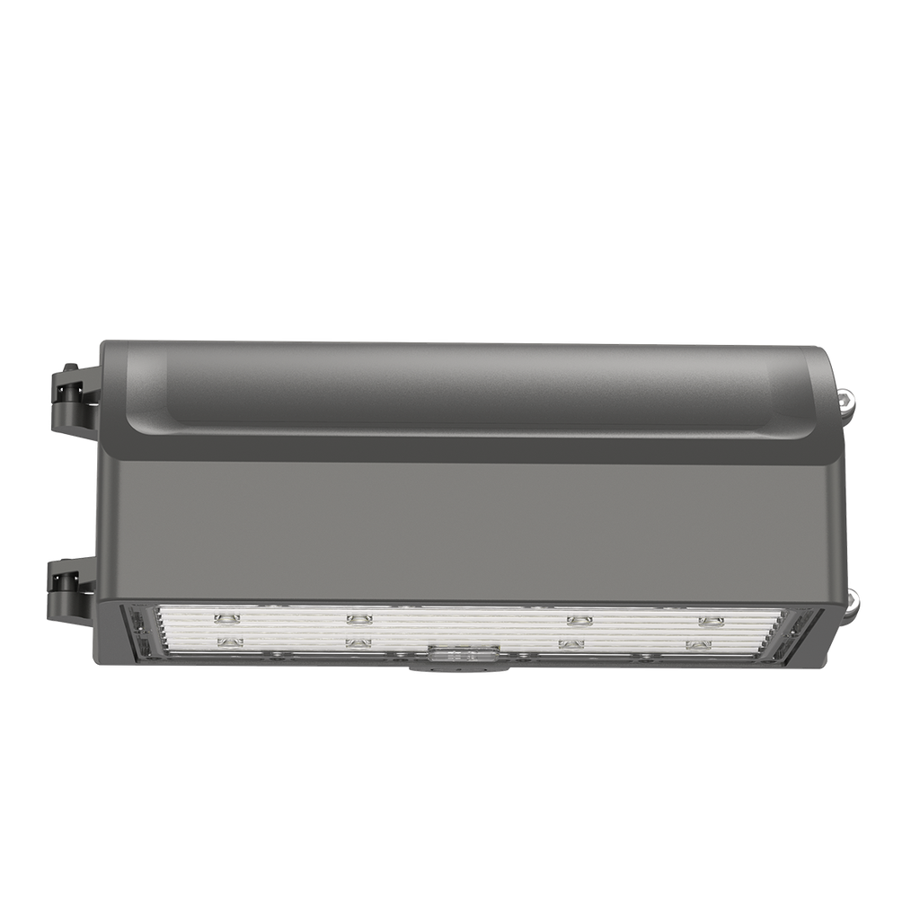RENO-CWP-60W-MW-DV-MCCT-R1