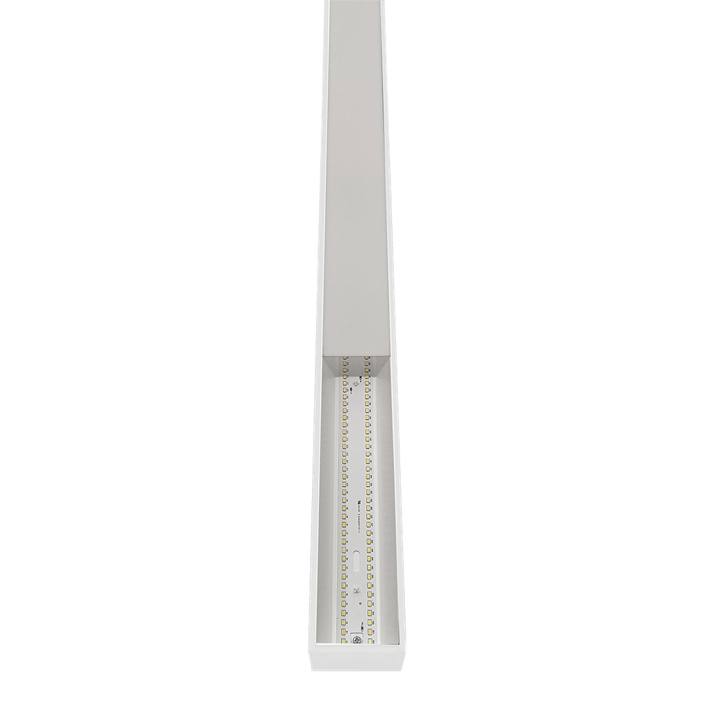 RENO-TLSN4-DV-MCCT-MW-WH-G2(4FT)