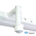 RENO-LSN8-DV-MW-MCCT-HL (8FT)	