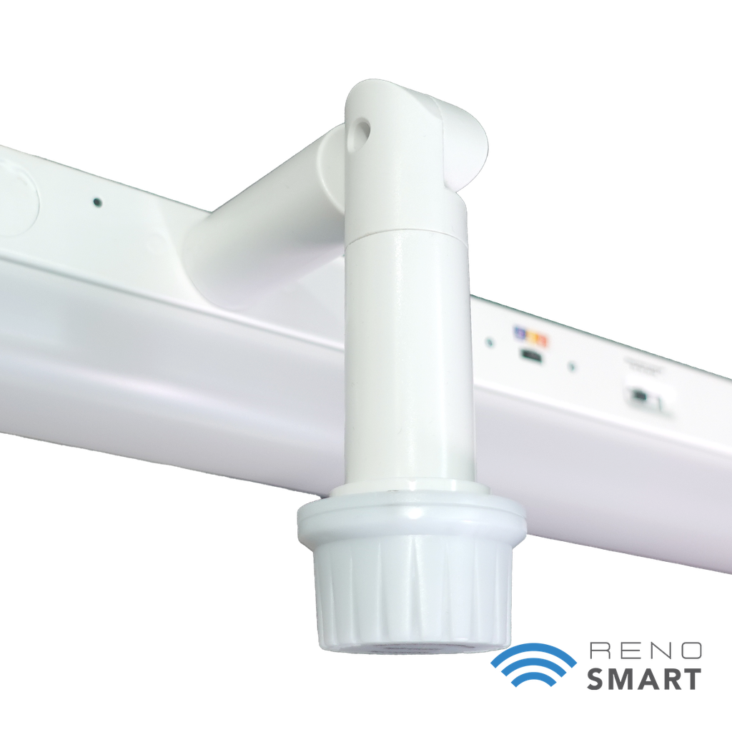 RENO-LSN8-DV-MW-MCCT-HL (8FT)	