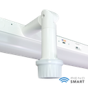 RENO-LSN8-DV-MW-MCCT-HL (8FT)	