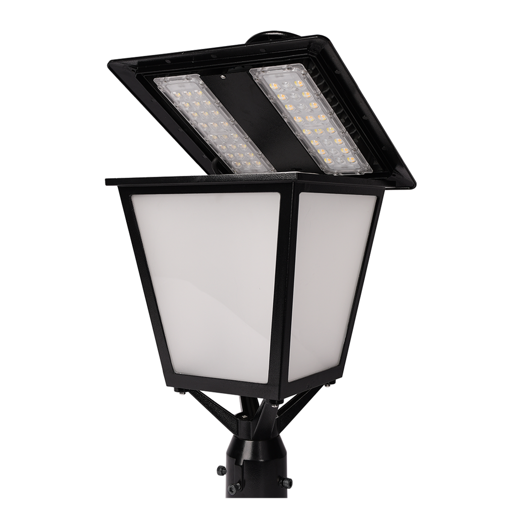 RENO-PTL-DV-MW-MCCT-BK 