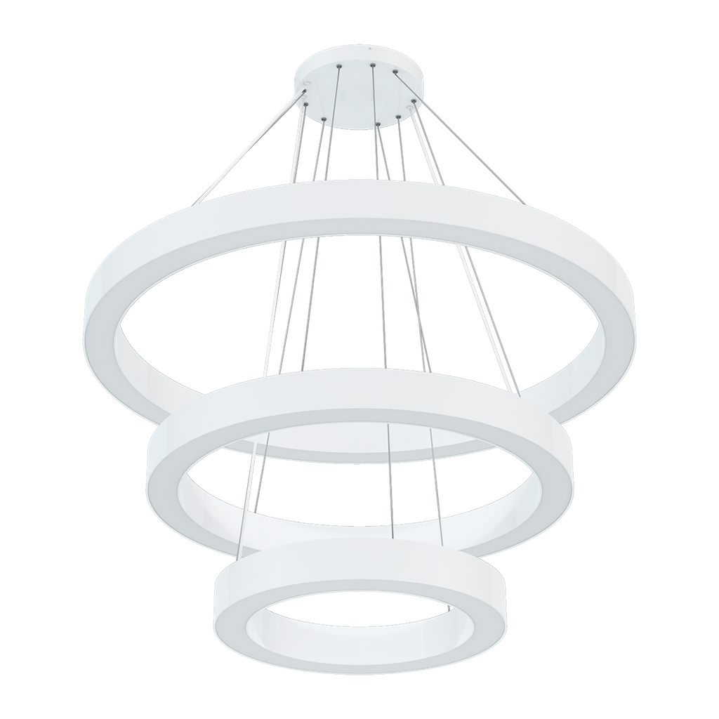 RENO-CIRSUS-CANOPY-3-WH