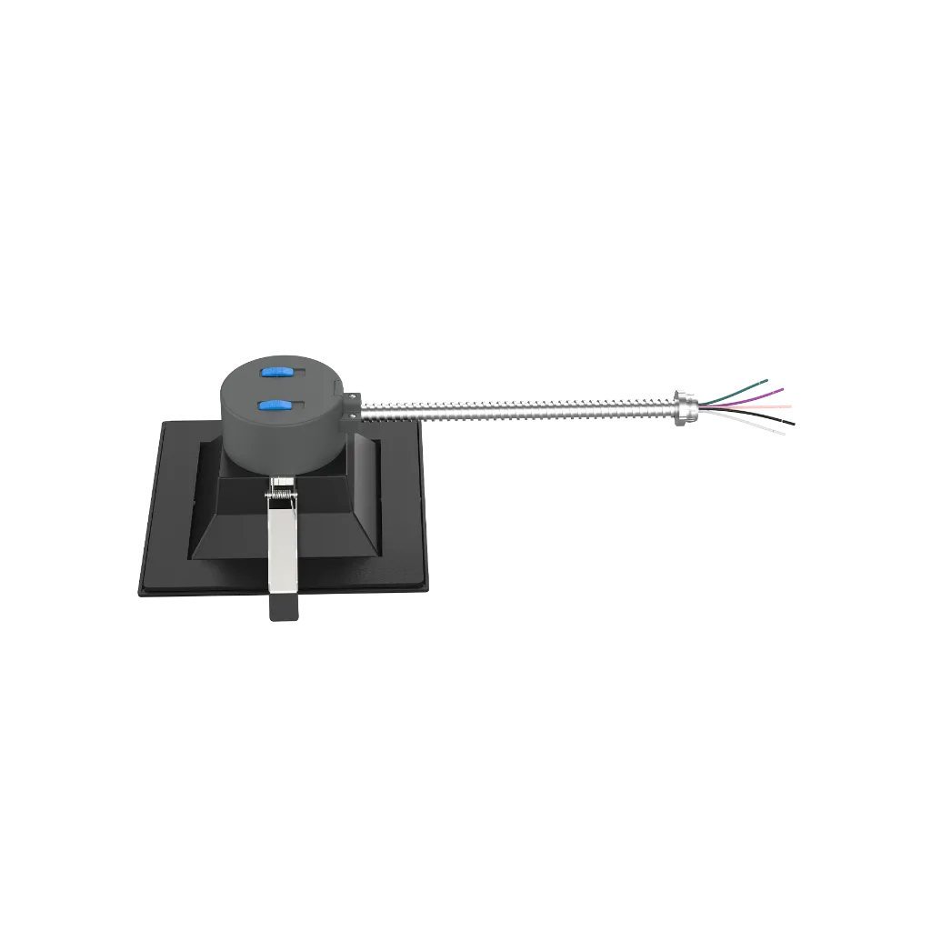 6in-rear-view.webp