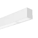 R39428__02.webp