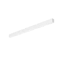 R39428__03.webp