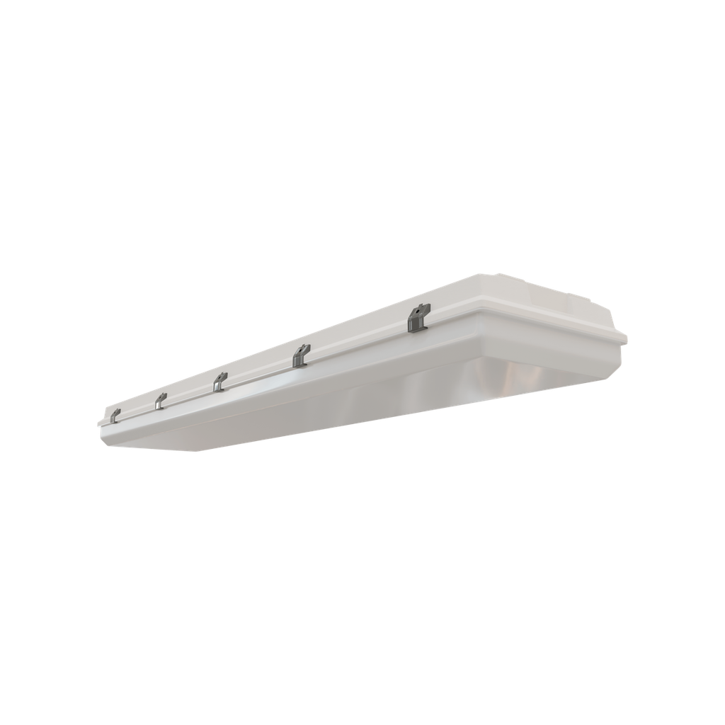 RENO-WLVP4-MW-DV-MCCT-HL