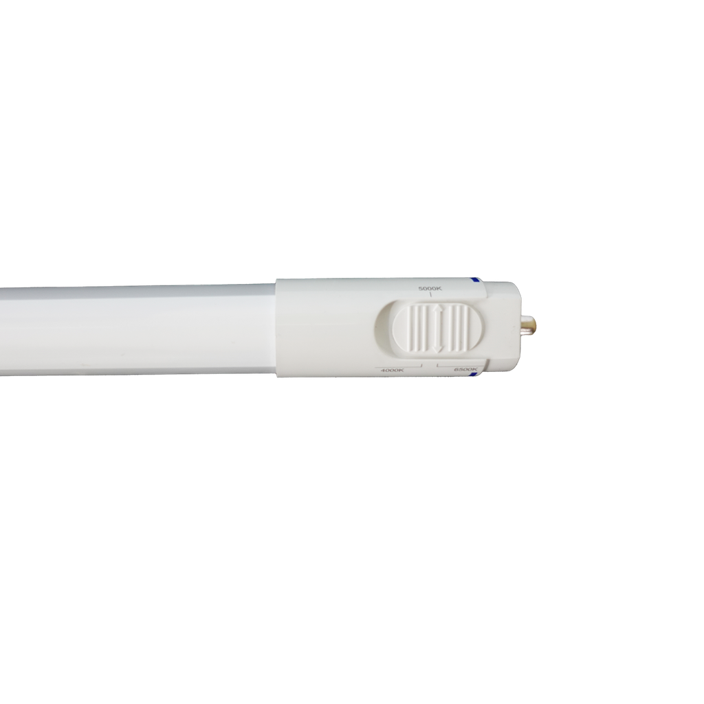 RENO-LEDT8BP-38W-MCCT-96G(8FT)