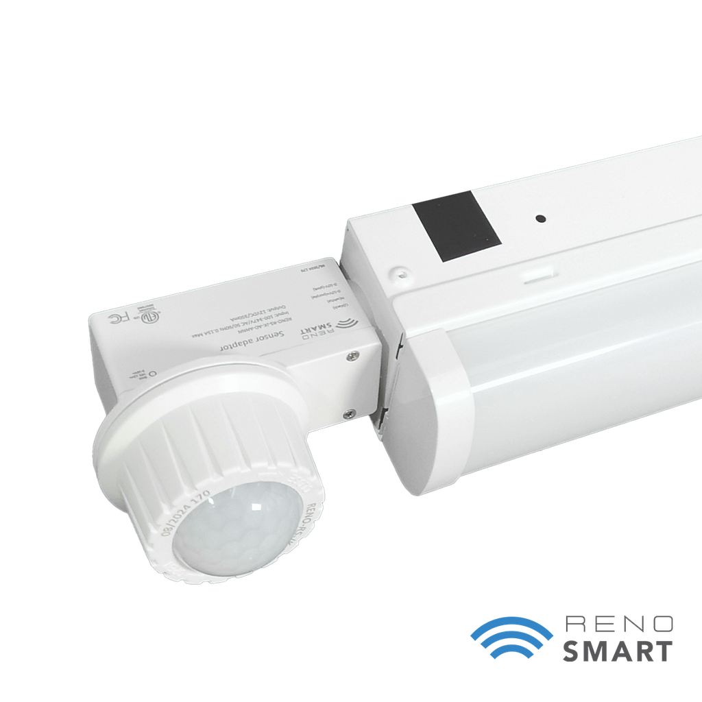 BTPIR-RENO-LSN4-DV-MW-MCCT-ECO