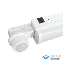 BTPIR-RENO-LSN4-DV-MW-MCCT-ECO