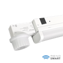 BTPIR-RENO-LSN8-DV-MW-MCCT-ECO