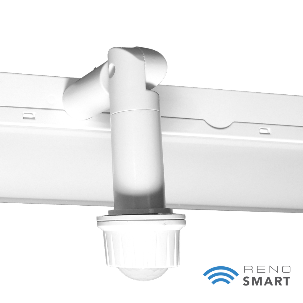 BTPIR-RENO-HWR2-DV-MW-MCCT-ECO (2FT)