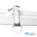 BTPIR-RENO-HWR2-DV-MW-MCCT-ECO (2FT)