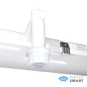 RENO-LVP4-DV-MW-MCCT-R1