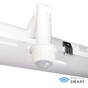 RENO-LVP4-DV-MW-MCCT-R1