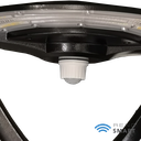 RENO-PT-DV-MW-MCCT-R2-WH