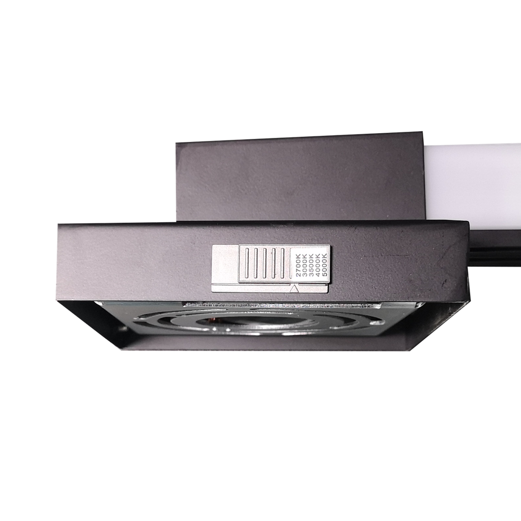 RENO-WSP2032-MCCT-16W-BK