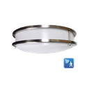 RENO-CLD-16-BN-MCCT-MS