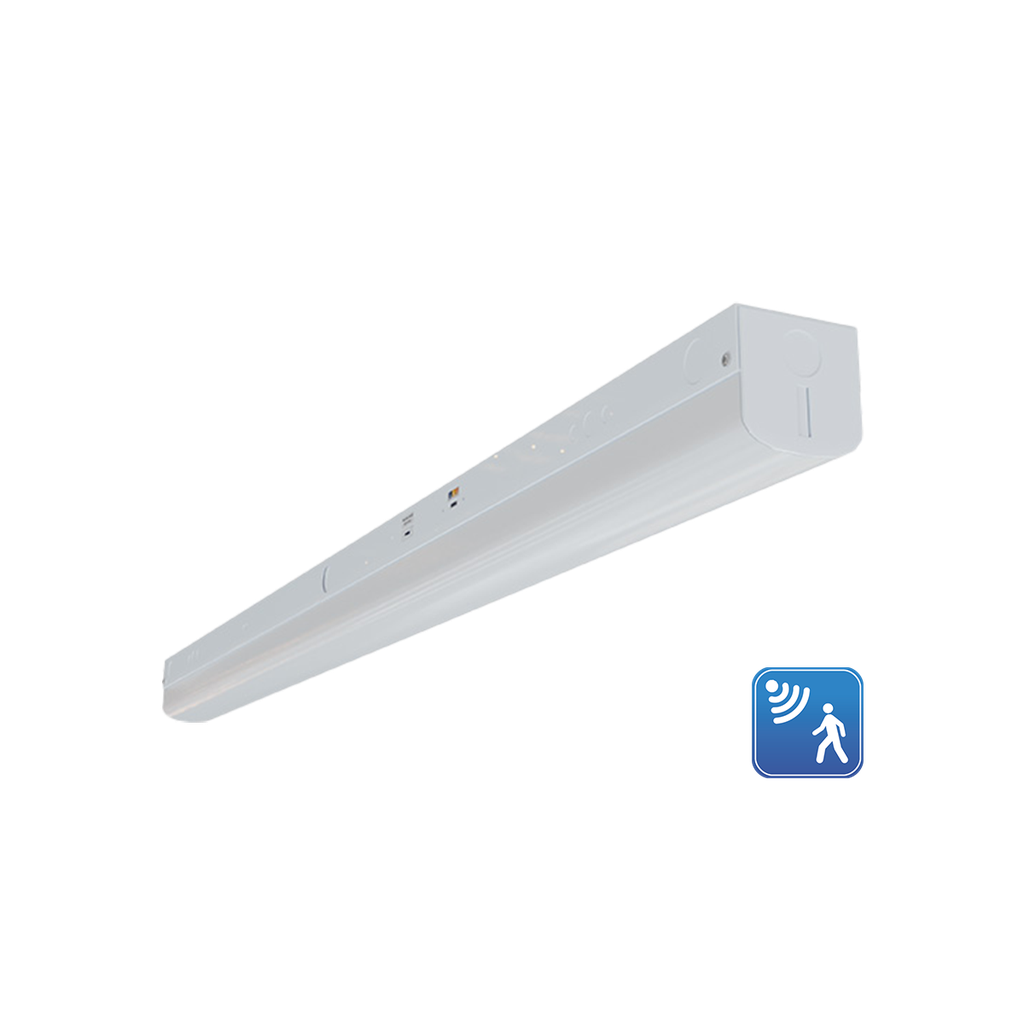 RENO-LSN8-DV-MW-MCCT-MS