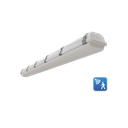 RENO-LVP4-DV-MW-MCCT-R1-MS