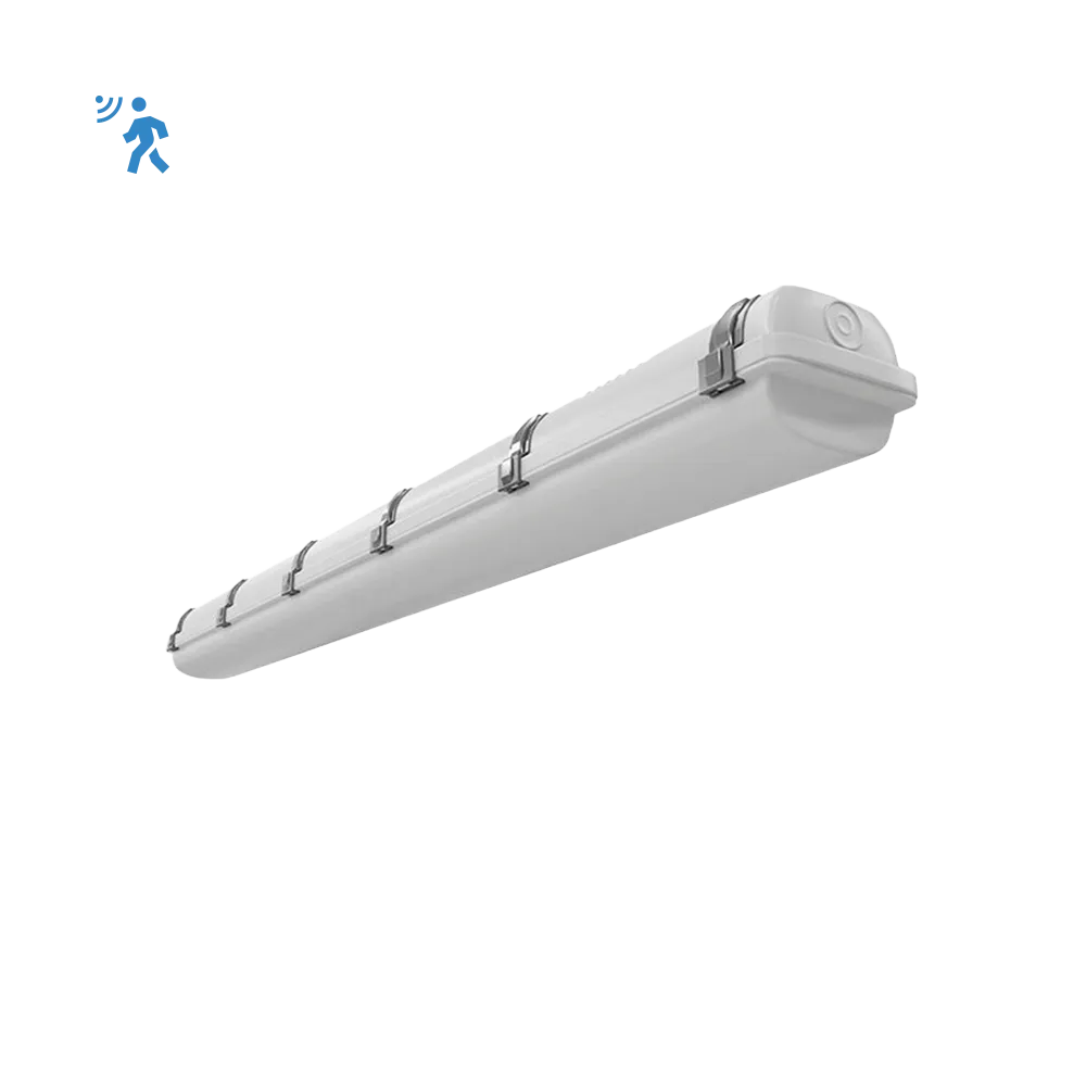 [R33115] RENO-LVP4-DV-MW-MCCT-R2-MS