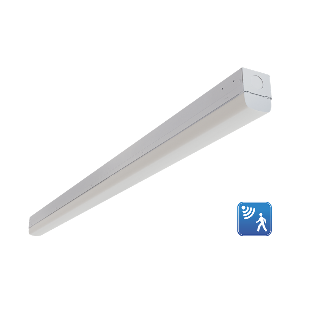 RENO-LSN4-DV-MW-MCCT-ECO-MS