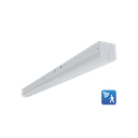 RENO-LSN2-DV-MW-MCCT-MS