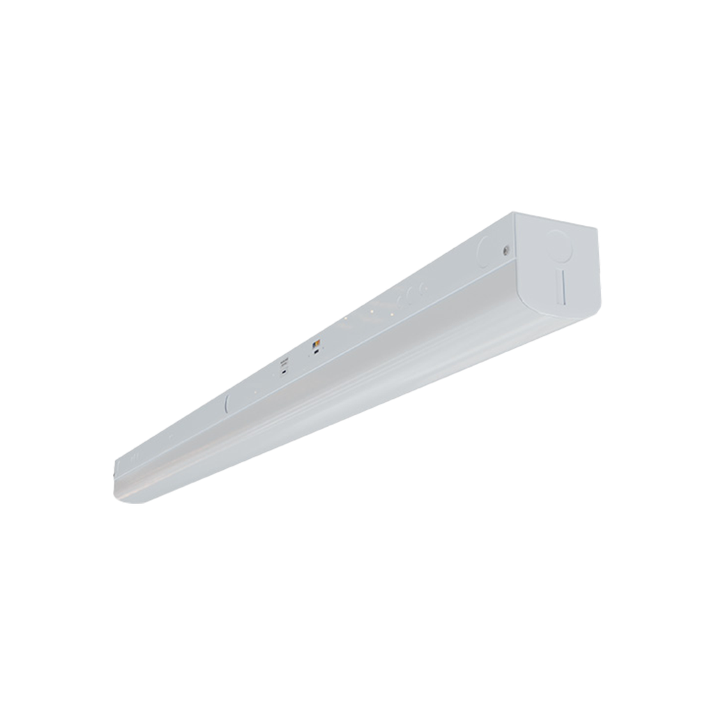 RENO-LSN8-DV-MW-MCCT-HL (8FT)	