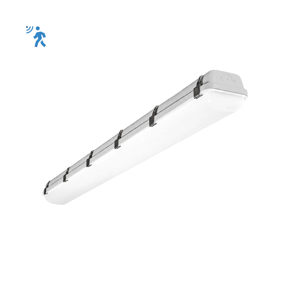 [R33133] RENO-LVP4-DV-MW-MCCT-R1-G2-MS