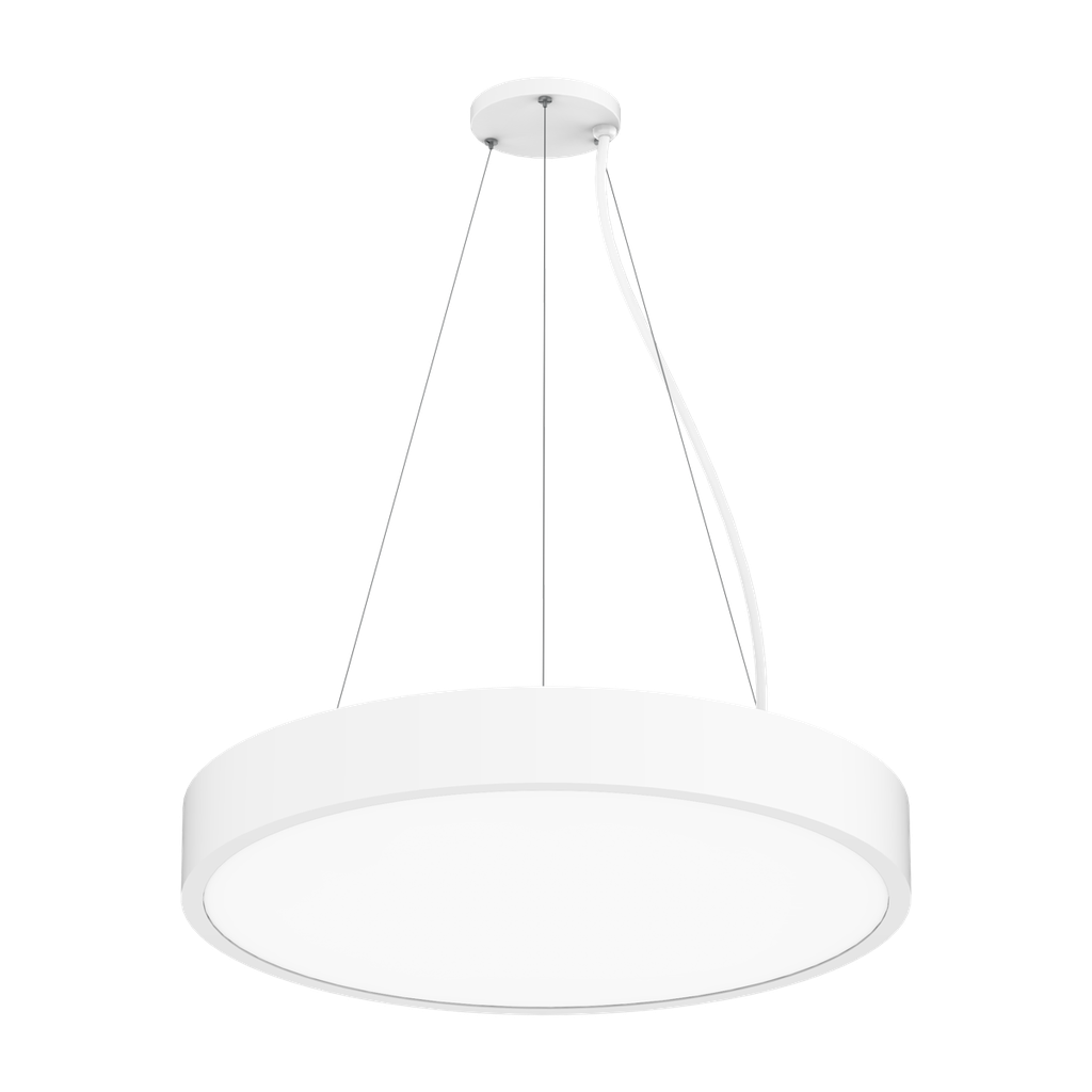 [R34503] RENO-EVOKE-24-DV-MW-MCCT-WH 