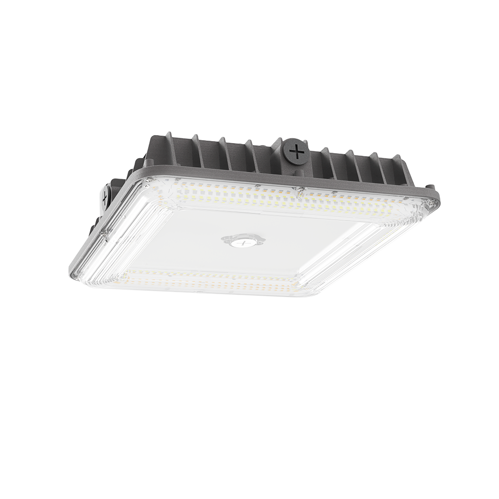 Outdoor Fixtures / Canopy Fixtures / Square Canopies