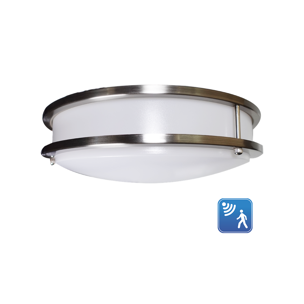 [R31031] RENO-CLD-16-BN-MCCT-MS