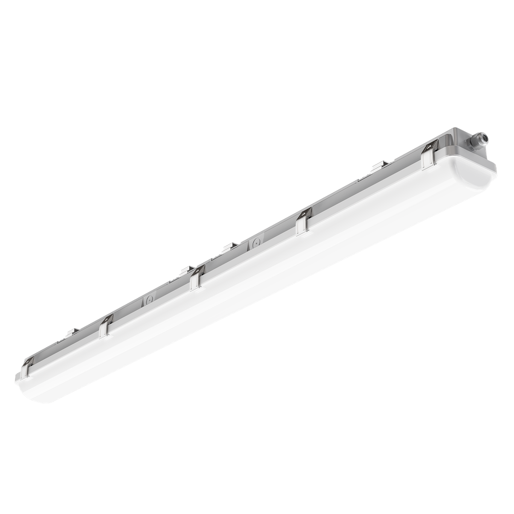 [R33119] RENO-LVP4-DV-MW-MCCT-ECO 