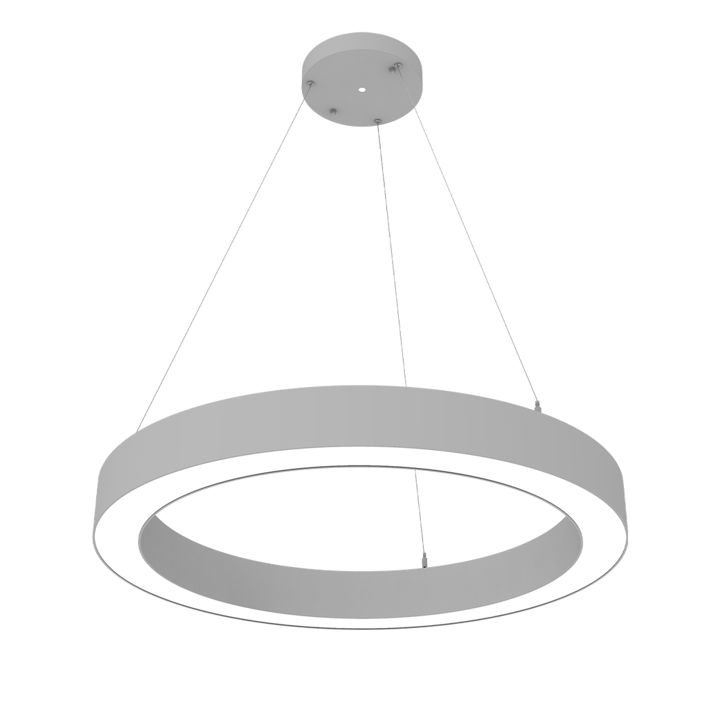 [R34405] RENO-CIRSUS-48-DV-MW-MCCT-WH